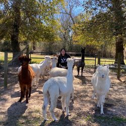 Figment Ranch