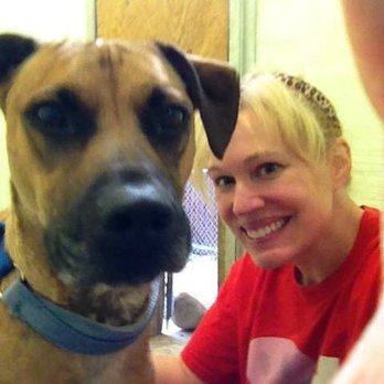 Save the Animals Foundation - Community Service/Non-Profit Near Me - Cincinnati, Ohio