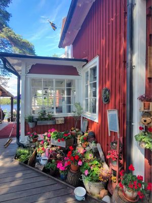Fjäderholmarna by null
