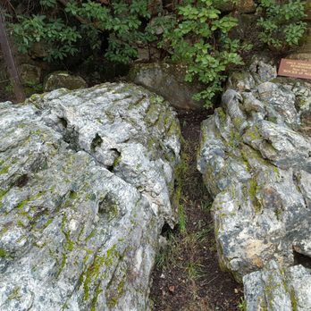 The Petrified Forest - Parks Near Me - Calistoga, California The Petrified Forest - Parks Near Me - Calistoga, California