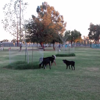 Dog Park at Washington Park - Dog Parks Near Me - Phoenix, Arizona