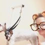 Photo of Amanda's Pet Salon