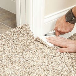 Get Steamed Carpet Cleaning - Repair After Dog Damage