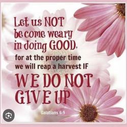 Amanda McDaniel - Therapy in Faith