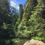 Photo of Camp Noyo