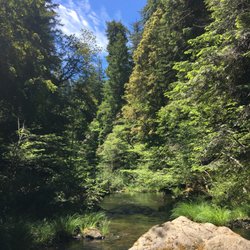 Camp Noyo