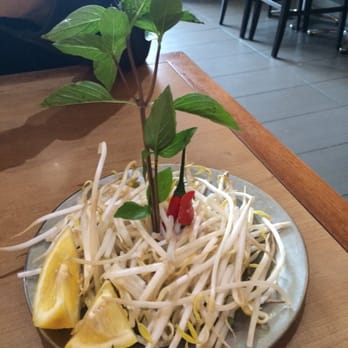 Thuan Kieu - Cute and unique playing of the complimentary bean sprouts and herb leaves, first time seeing something like this - Vietnamese Near Me - London, Ontario