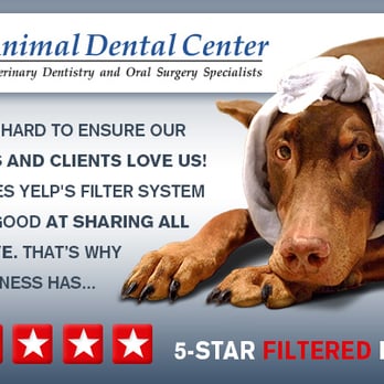 Animal Dental Center - Continue to share the love and be sure to click our 5-star "reviews that are not currently recommended" link below the images. - Veterinarians Near Me - Annapolis, Maryland Animal Dental Center - Continue to share the love and be sure to click our 5-star "reviews that are not currently recommended" link below the images. - Veterinarians Near Me - Annapolis, Maryland