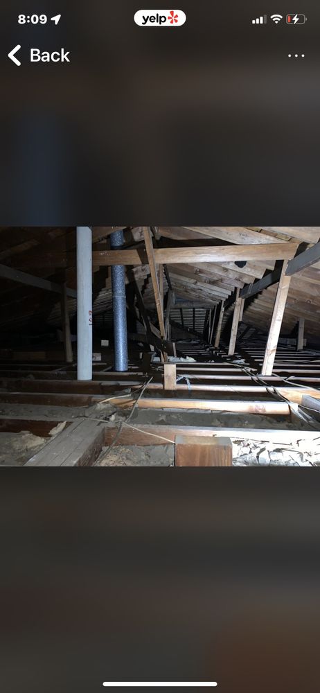 Mold Cleanup Testing & Remediation - mold inspector in Whittier, CA