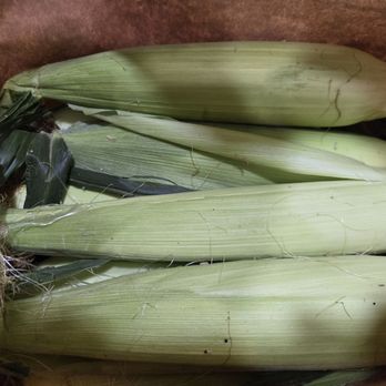 Davis Ranch, LLC - Corn - Fruits & Veggies Near Me - Sloughhouse, California Davis Ranch, LLC - Corn - Fruits & Veggies Near Me - Sloughhouse, California