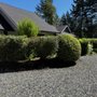 Photo of TruPlants Landscape and Paver Services