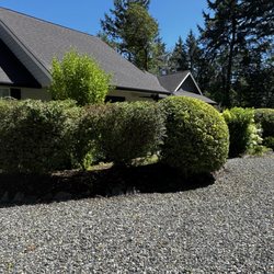 TruPlants Landscape and Paver Services - After.