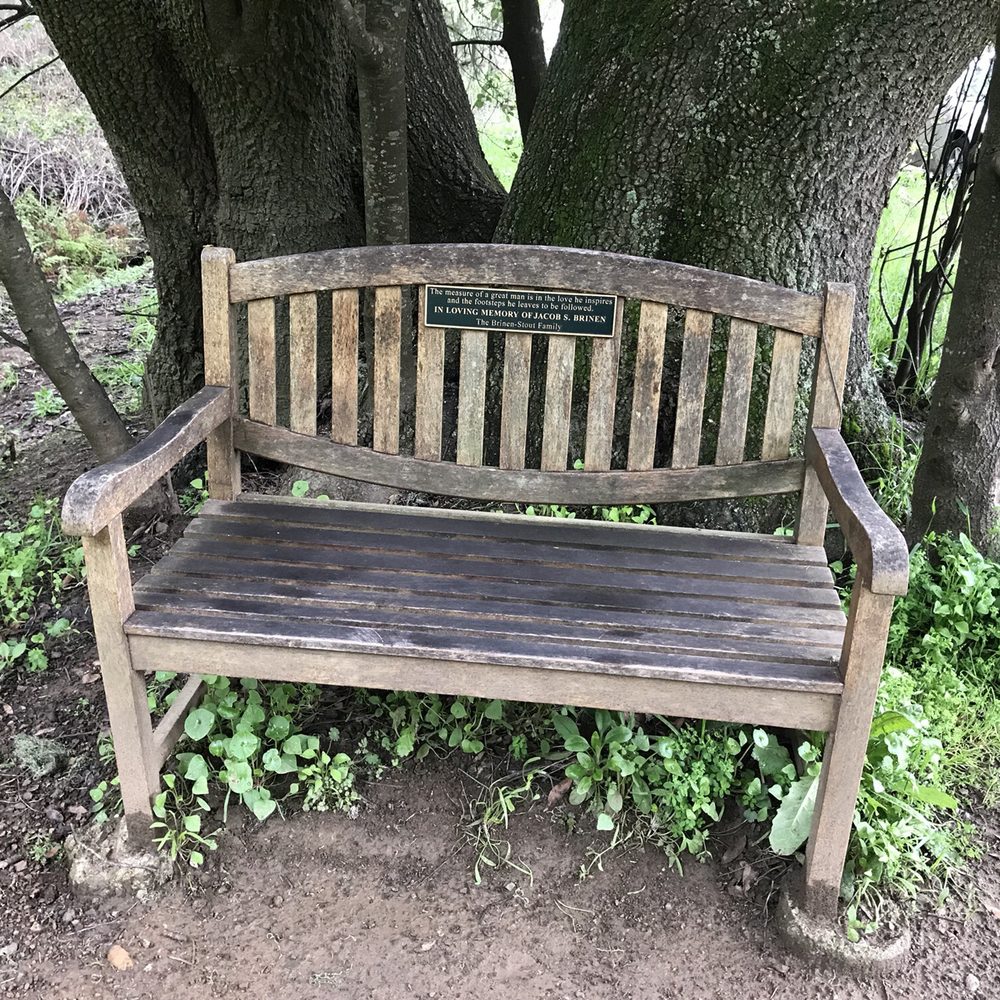 Tennessee Valley - Cute little rest bench - Hiking Near Me - Mill Valley, California Tennessee Valley - Cute little rest bench - Hiking Near Me - Mill Valley, California
