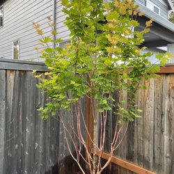 Family Landscaping