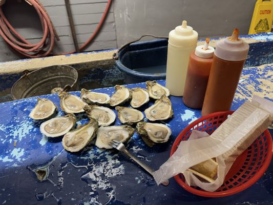 Lee & Rick's Oyster Bar by null