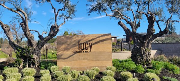 Lucy Restaurant & Bar by null