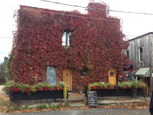 The Griffin Pub by null