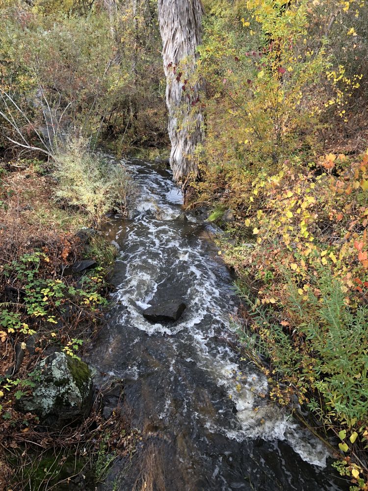 THE FAIRMONT AT WILLOW CREEK 30 Photos & 42 Reviews 200 S Lexington