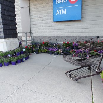 Safeway - a shopping cart outside a store - Grocery Near Me - Langley, British Columbia Safeway - a shopping cart outside a store - Grocery Near Me - Langley, British Columbia