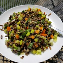 Planti Meals - Organic Edemame and Wild Rice Ginger Salad