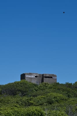 Shadmoor State Park by null