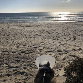 Jalama Beach County Park - Peace on the beach - Campgrounds Near Me - Lompoc, California