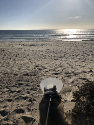 Jalama Beach County Park by null