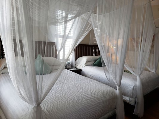 The Guesthouses at Southernmost Beach Resort – Avalon Bed and Breakfast - RECENTLY RESTORED by null