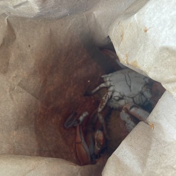 Cameron's Seafood - Males $40/dozen very tasty and meaty - Seafood Near Me - Capitol Heights, Maryland