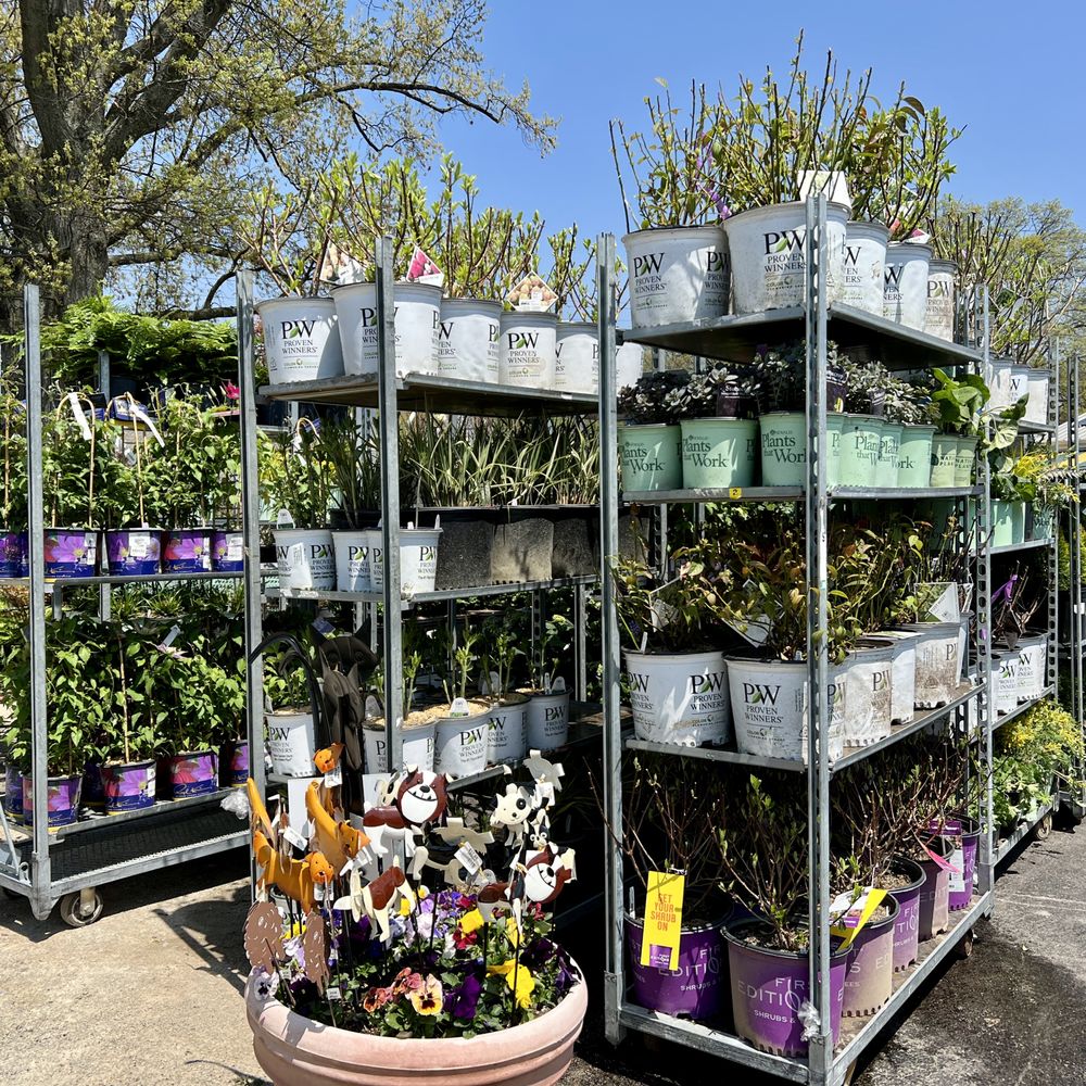 Bloomin Garden Nursery Fasci Garden