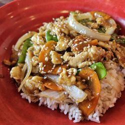 Fire Wok - Teriyaki Bowl