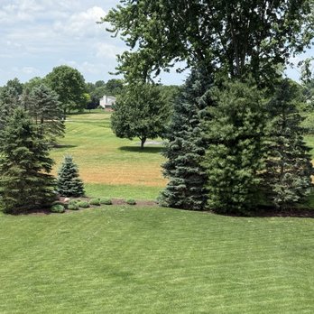 Barberton Tree Service - This is before they started work. - Tree Services Near Me - Barberton, Ohio Barberton Tree Service - This is before they started work. - Tree Services Near Me - Barberton, Ohio