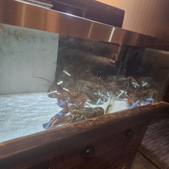 Red Lobster - Lobster Tank - Seafood Near Me - Victorville, California Red Lobster - Lobster Tank - Seafood Near Me - Victorville, California