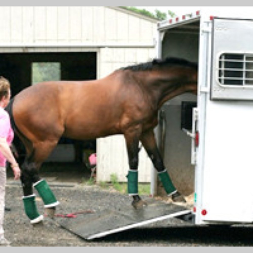 Travel Trailer Siding Repair Chino, CA