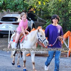 A One of a Kind Petting Zoo - #A1ponyparty #partypony #ponyrides #ponyparty #ponyridemagic