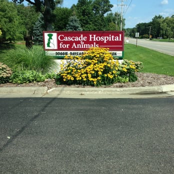 Cascade Hospital for Animals - Veterinarians Near Me - Grand Rapids, Michigan