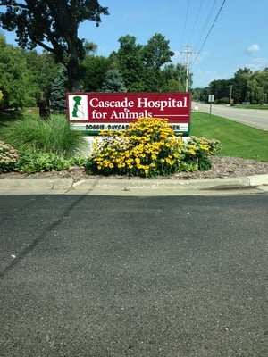 Cascade Hospital for Animals by null