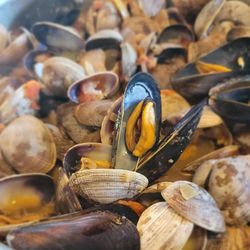 Skagit's Own Fish Market - Plump and delicious clams and mussels. Vermouth, fresh tomato, garlic, thyme. Pancetta,lemon, and Golden Glen Creamery butter.
