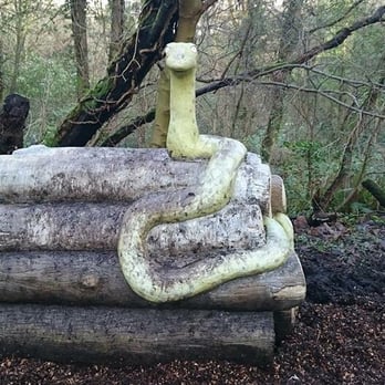 Colin Glen Forest Park - Parks Near Me - Belfast, LSB