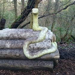 Colin Glen Forest Park