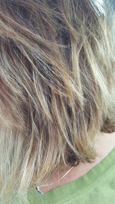 David Chad Beauty Parlor by null