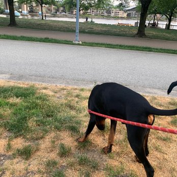 Coopers' Park - Dog Parks Near Me - Vancouver, British Columbia