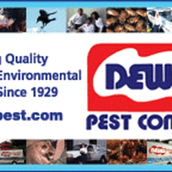 Dewey Pest Control - Pest Control Near Me - Windsor Hills, California Dewey Pest Control - Pest Control Near Me - Windsor Hills, California