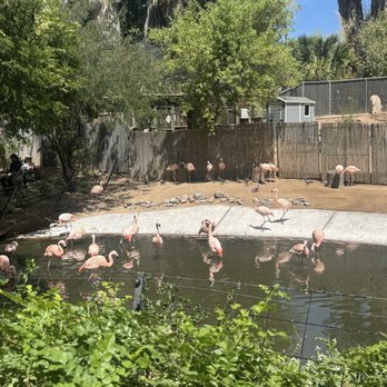 Phoenix Zoo - Zoos Near Me - Phoenix, Arizona Phoenix Zoo - Zoos Near Me - Phoenix, Arizona