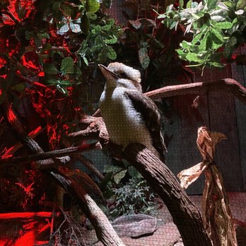 Adventure Aquarium - Aquariums Near Me - Camden, New Jersey Adventure Aquarium - Aquariums Near Me - Camden, New Jersey