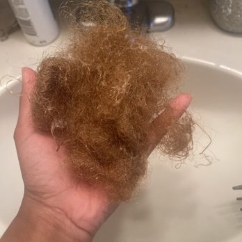 Katty Hair Studio - Fell out in 2 weeks! - Hair Salons Near Me - Brentwood, Maryland Katty Hair Studio - Fell out in 2 weeks! - Hair Salons Near Me - Brentwood, Maryland