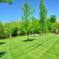 K&W Lawn and Handyman Service