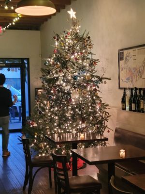 Stems & Skins by null