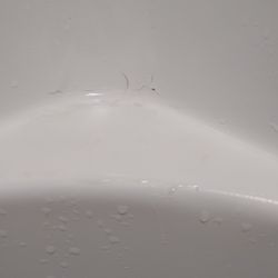 Miracle Method of Charleston - Cracking peeling shower stall