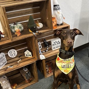 Tiffany's Barks N Bubbles - Waiting lobby - Pet Groomers Near Me - Bethel Island, California